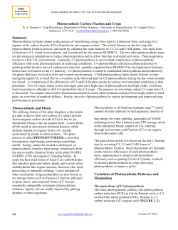 64 Photosynthetic Carbon Fixation and Crops Summary