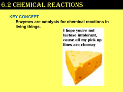 6.2 Chemical Reactions