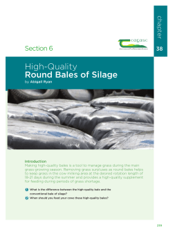 High-Quality Round Bales of Silage
