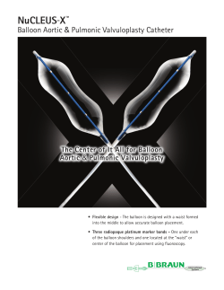 NuCLEUS-X&trade; Product Brochure - B. Braun Interventional Systems