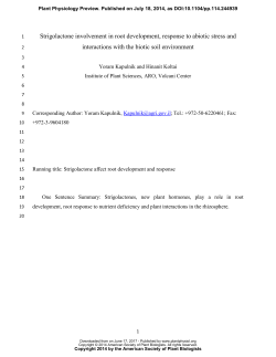 Strigolactone involvement in root development, response to abiotic