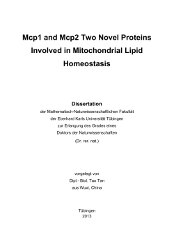 Mcp1 and Mcp2 Two Novel Proteins Involved in Mitochondrial Lipid