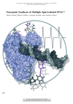 Enzymatic Synthesis of Multiple Spin-Labeled DNA