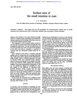 Surface area of the small intestine in man