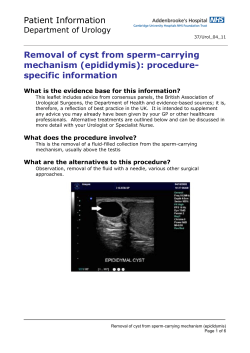 Patient Information Removal of cyst from sperm