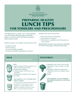 packing healthy lunches for toddlers and