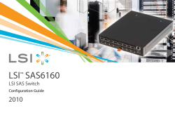 LSI SAS6160 SAS Switch Configuration Guide
