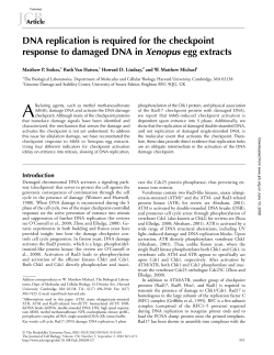 DNA replication is required for the checkpoint response to damaged