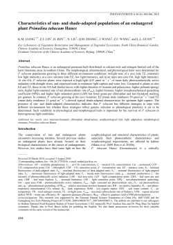 Characteristics of sun-and shade