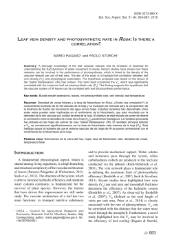 Mario Pagano and Paolo Storchi