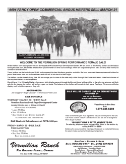 to Heifer Supplement Sheet