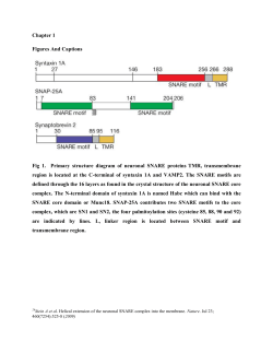 Chapter 1 Figures And Captions Fig 1. Primary structure diagram of