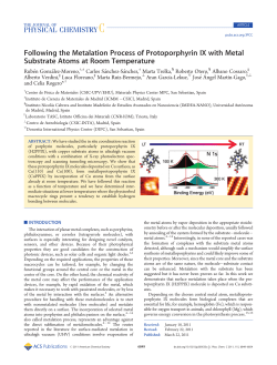 Following the Metalation Process of Protoporphyrin IX with Metal