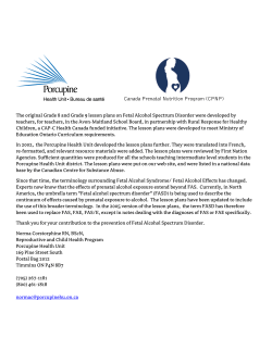 Canada Prenatal Nutrition Program (CPNP) The original Grade 8