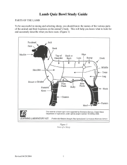 Sheep Quiz Bowl Study Guide