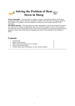 Solving the Problem of Heat Stress in Sheep