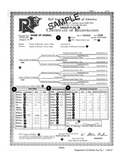 Angus Plus - Red Angus Association of America
