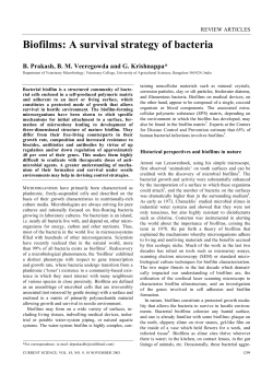 Biofilms: A survival strategy of bacteria