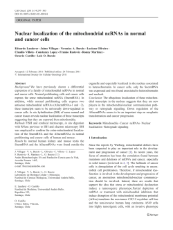 Nuclear localization of the mitochondrial ncRNAs in normal and