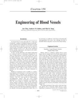 Engineering of Blood Vessels - bu people