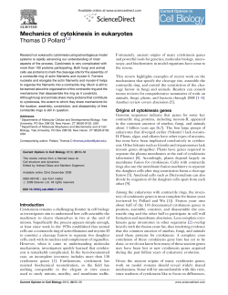 Mechanics of cytokinesis in eukaryotes