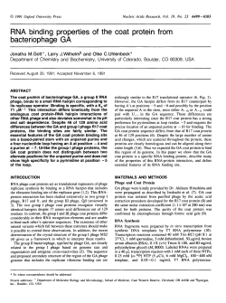 RNA binding properties of the coat protein from bacteriophage GA
