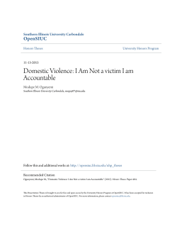Domestic Violence: I Am Not a victim I am Accountable