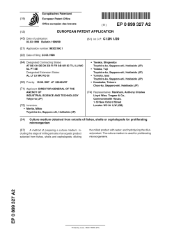 European Patent Office