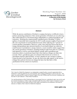 Biofuels and the Food Price Crisis