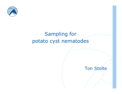 Sampling for potato cyst nematodes