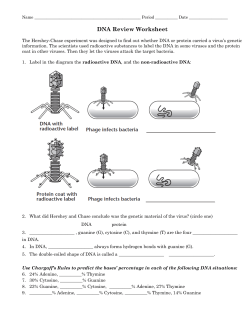 DNA Review Worksheet