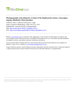 Phylogeography and subspecies revision of the hispid pocket