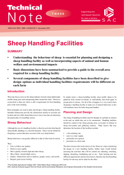 Sheep Handling Facilities