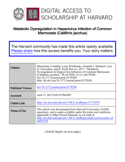 Metabolic Dysregulation in Hepacivirus Infection of Common