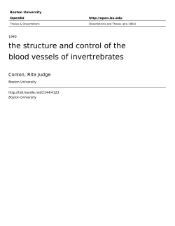 the structure and control of the blood vessels of