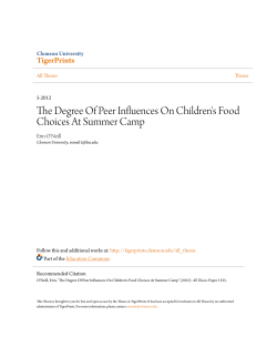 The Degree Of Peer Influences On Children`s Food
