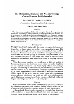 The Chromosome Numbers and Nuclear Cytology of some Common