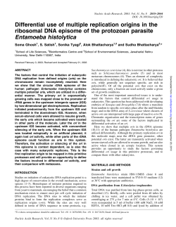 Differential use of multiple replication origins in the ribosomal DNA