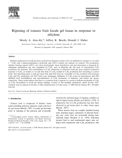 Ripening of tomato fruit locule gel tissue in response to ethylene
