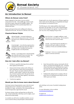 An Introduction to Bonsai - Bonsai Society of Queensland inc