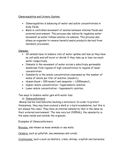 Osmoregulation and urinary System