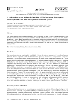 Preview - Magnolia press