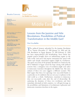 Lessons from the Jasmine and Nile Revolutions: Possibilities of