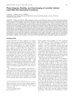 Phase Diagram, Stability, and Overcharging of