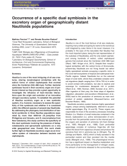 Occurrence of a specific dual symbiosis in the excretory organ of