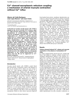 a mechanism of arterial myocyte contraction without Ca2+ influx