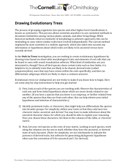 Drawing Evolutionary Trees
