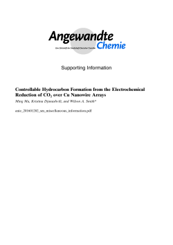 Supporting Information