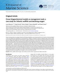 Ocean biogeochemical models as management tools: a case study