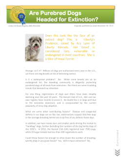 Are Purebred Dogs Headed for Extinction?